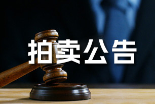 邵东市2026年一批抵税资产拍卖公告（第三次）