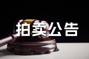 邵东市2026年一批抵税资产变卖公告（第二次）